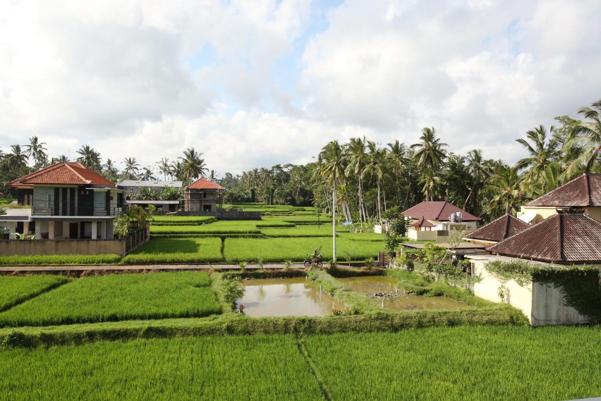 Swarapadi Villa Ubud  Luaran gambar